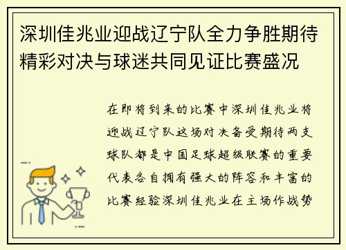 深圳佳兆业迎战辽宁队全力争胜期待精彩对决与球迷共同见证比赛盛况