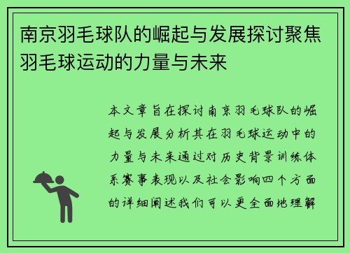 南京羽毛球队的崛起与发展探讨聚焦羽毛球运动的力量与未来