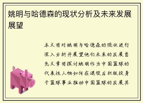 姚明与哈德森的现状分析及未来发展展望