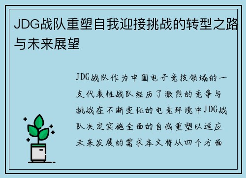 JDG战队重塑自我迎接挑战的转型之路与未来展望